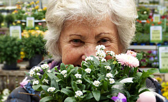 foto seorang wanita tua dengan rambut putih di balik buket bunga