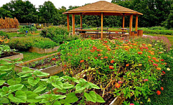 Rumah Sakit Philadelphia Menetapkan Makanan Segar dari Kebun Sendiri