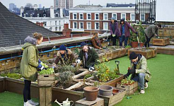 Five Creative Ways City Dwellers Can Still Grow Their Own