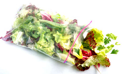saláta táskában