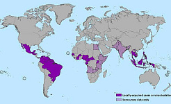 Zika-viruksen 1964-65: n USA: n vihurirokotteen puhkeaminen