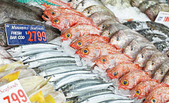 I pesci etichettati con l'etichetta stanno presentando in un sacco di sushi