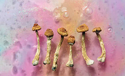 лечение депрессии грибами 5 20