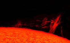 et bilde av et plasmatre på solen