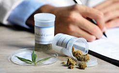 Can Marijuana Treat MS Symptoms?