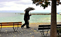 一对夫妇打着雨伞在雨中散步