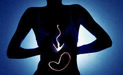 Comment les bactéries dans notre intestin affectent vos habitudes alimentaires et votre poids?
