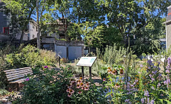 een voedselbos in een wijk in Boston
