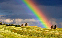 arco-íris sobre um campo