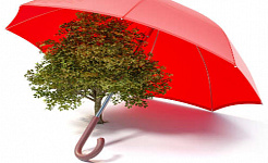 uma árvore coberta por um guarda-chuva