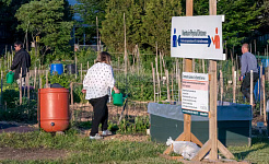 otros beneficios de los jardines comunitarios 7 9