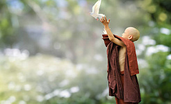 एक युवा बौद्ध भिक्षु एक सफेद कबूतर को आसमान में छोड़ रहा है