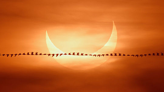 ایک وقت گزر جانے والی تصویر میں سلہوٹ میں پرندوں کے ساتھ کنڈلا سورج گرہن