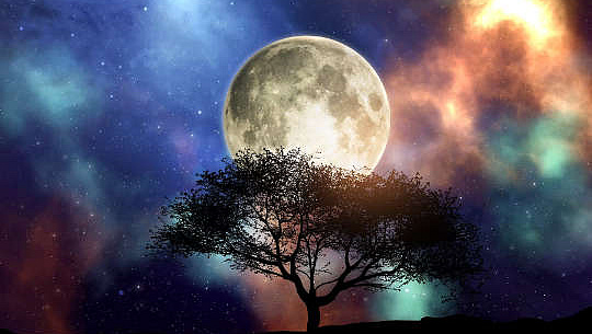 พระจันทร์เต็มดวงบางส่วนอยู่เบื้องหลังเงาของต้นไม้