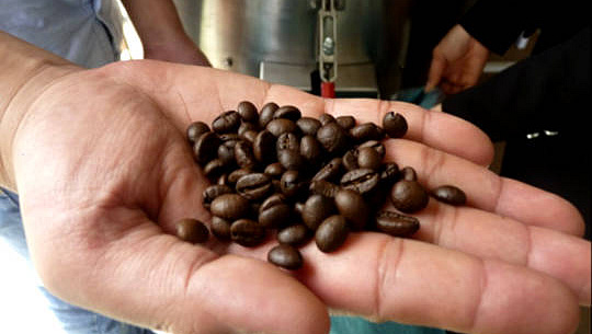 Comment les grains de café utilisés peuvent aider votre santé