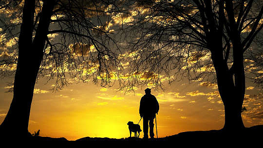 seorang ,lelaki dengan seekor anjing di atas tali sambil melihat matahari terbenam