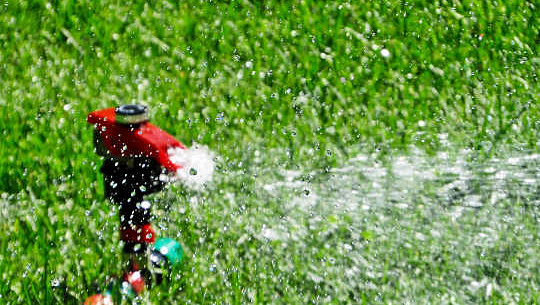 How Neighbors Nudge Each Other To Skip The Sprinkler