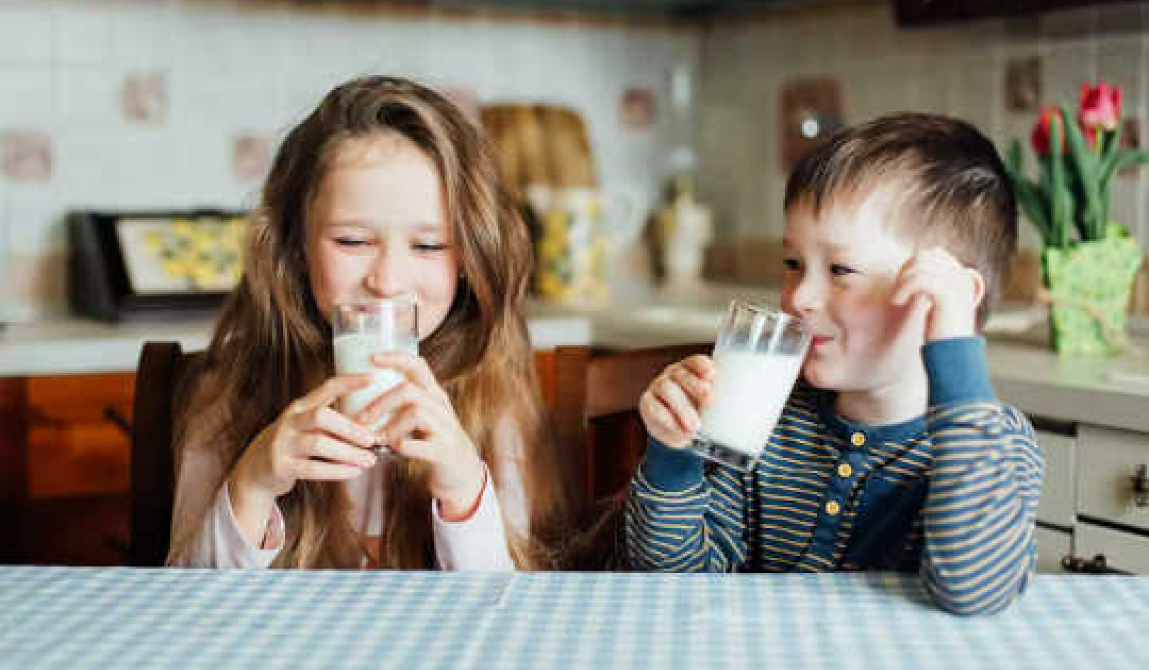 למה אתה צריך לשמור חלב יותר ממה שאתה חושב
