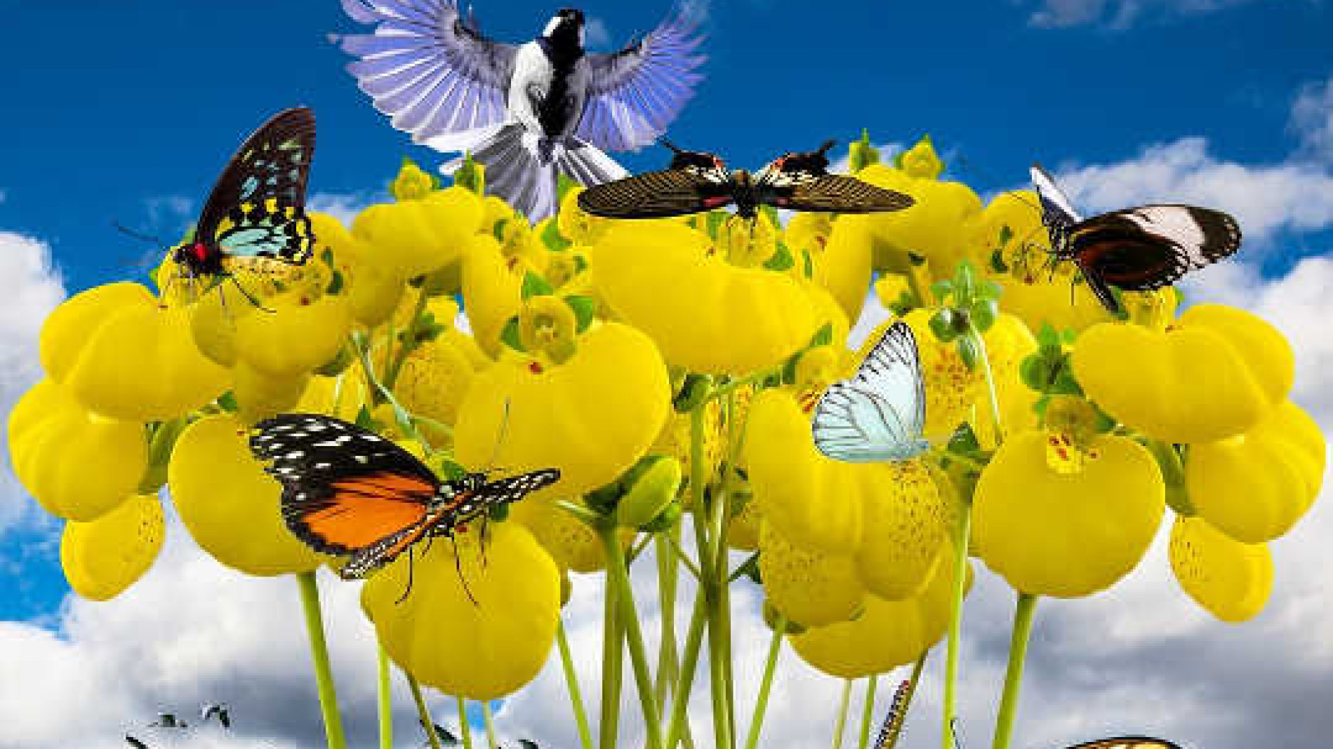 Kubadilisha Migogoro Kuwa Fursa za Ukuaji