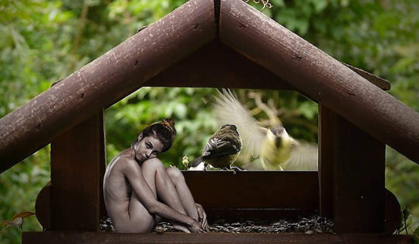 Understanding Synchronicity and Trust in the Universe