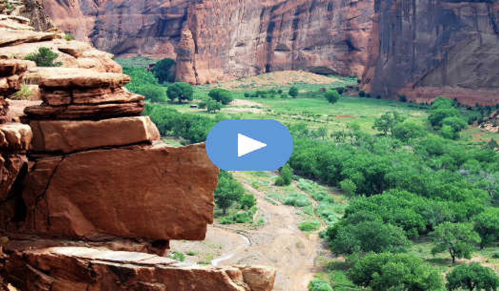 Min Mountain Lion Experience i Canyon de Chelly: Mareridt eller Spirit Guide? (Video)