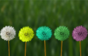 Universal Laws and Their Impact on Life