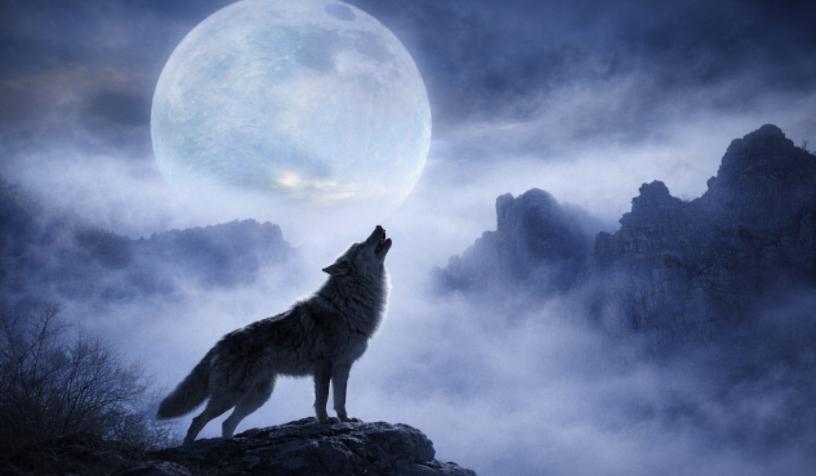 了解月相週期對人類行為的影響