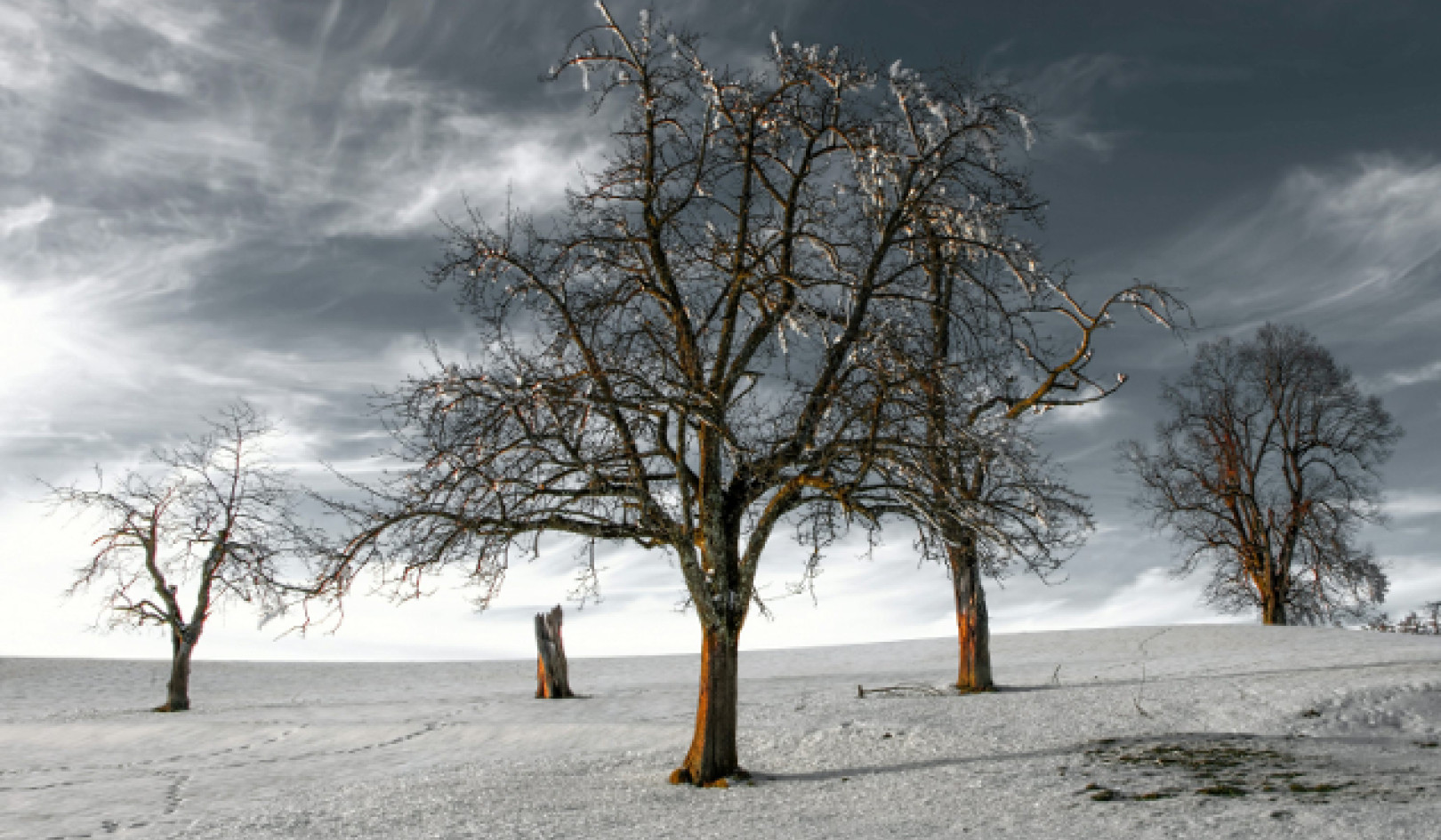 Why Optimism Extends Life and What Optimism Really Is