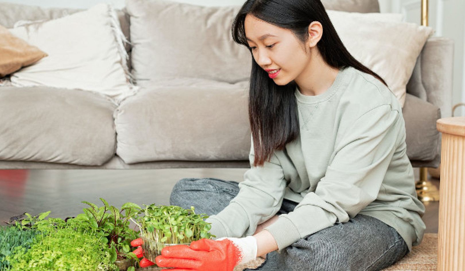 Розкрийте силу мікрозелені: багаті поживними речовинами та ароматні пагони