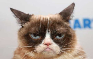 Cat Facial Expressions for Pain Detection