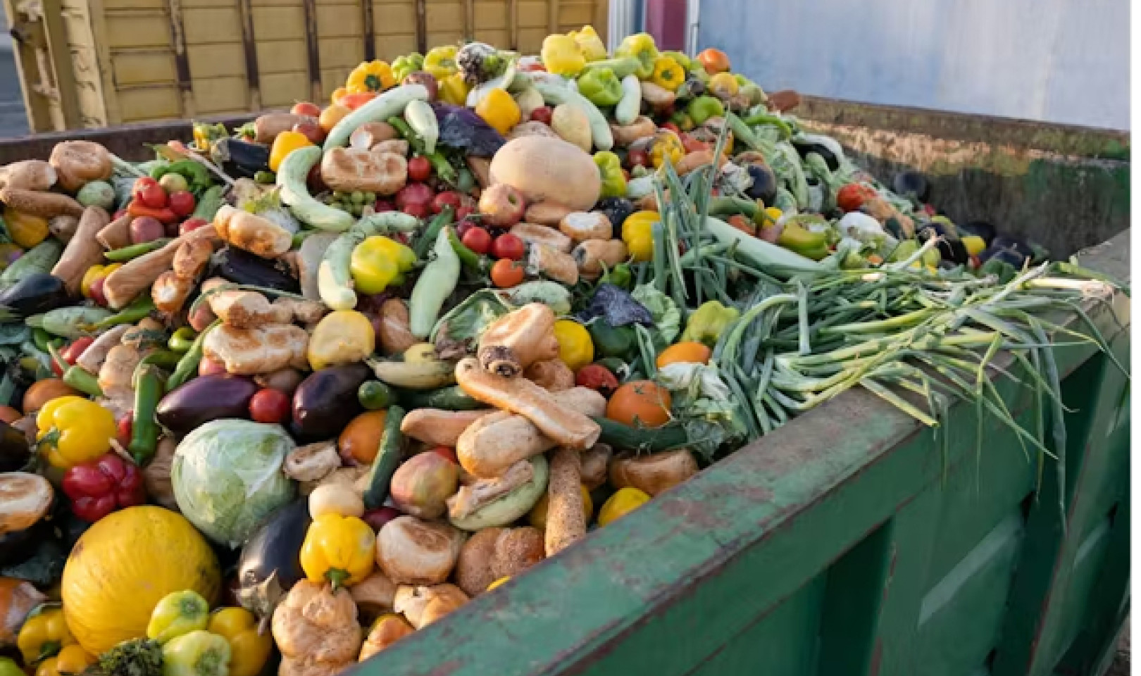 4 wirksame Strategien zur Reduzierung von Lebensmittelverschwendung