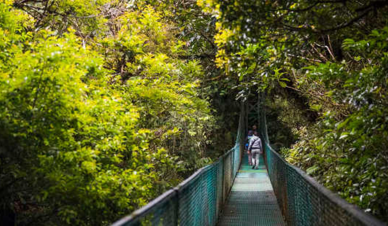 Kuinka biologisen monimuotoisuuden suojelu on kannattanut Costa Ricalla