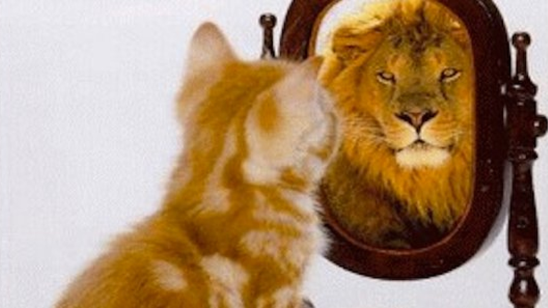 Encontrar soluciones en nuestro interior: el poder de la autorreflexión