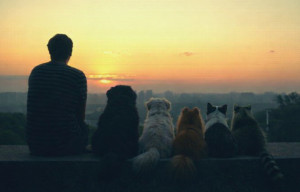 Por qué el vínculo entre humanos y perros se siente más real que muchas relaciones humanas