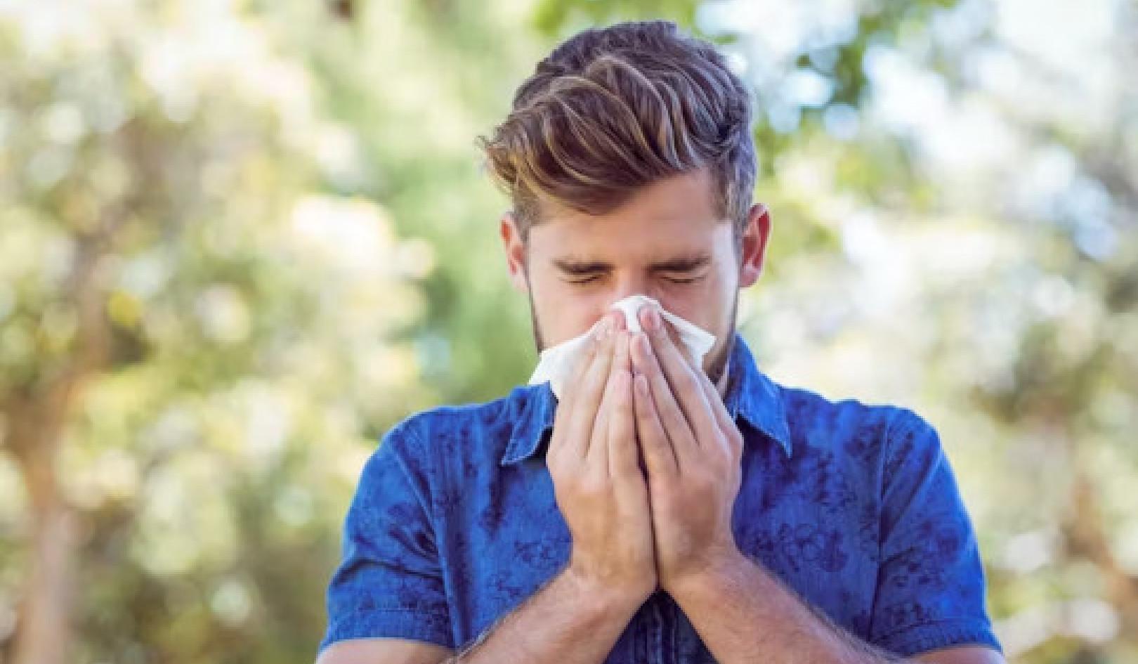 Hay Fever Symptoms Reduced by Probiotics