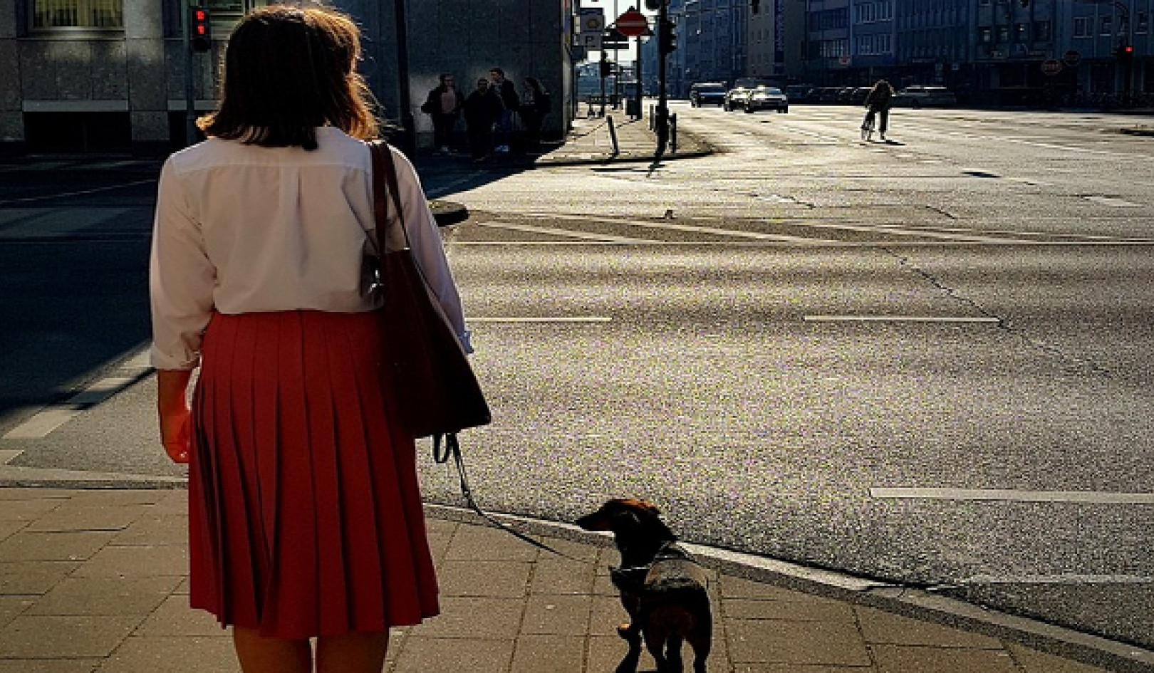 वह कुत्ता जो नहीं भौंका: विरोध प्रदर्शन के लिए ट्रम्प का अनुत्तरित आह्वान