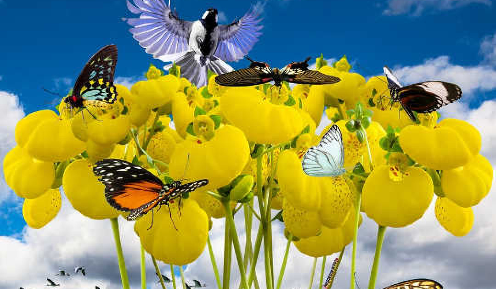 تحويل الأزمات إلى فرص للنمو