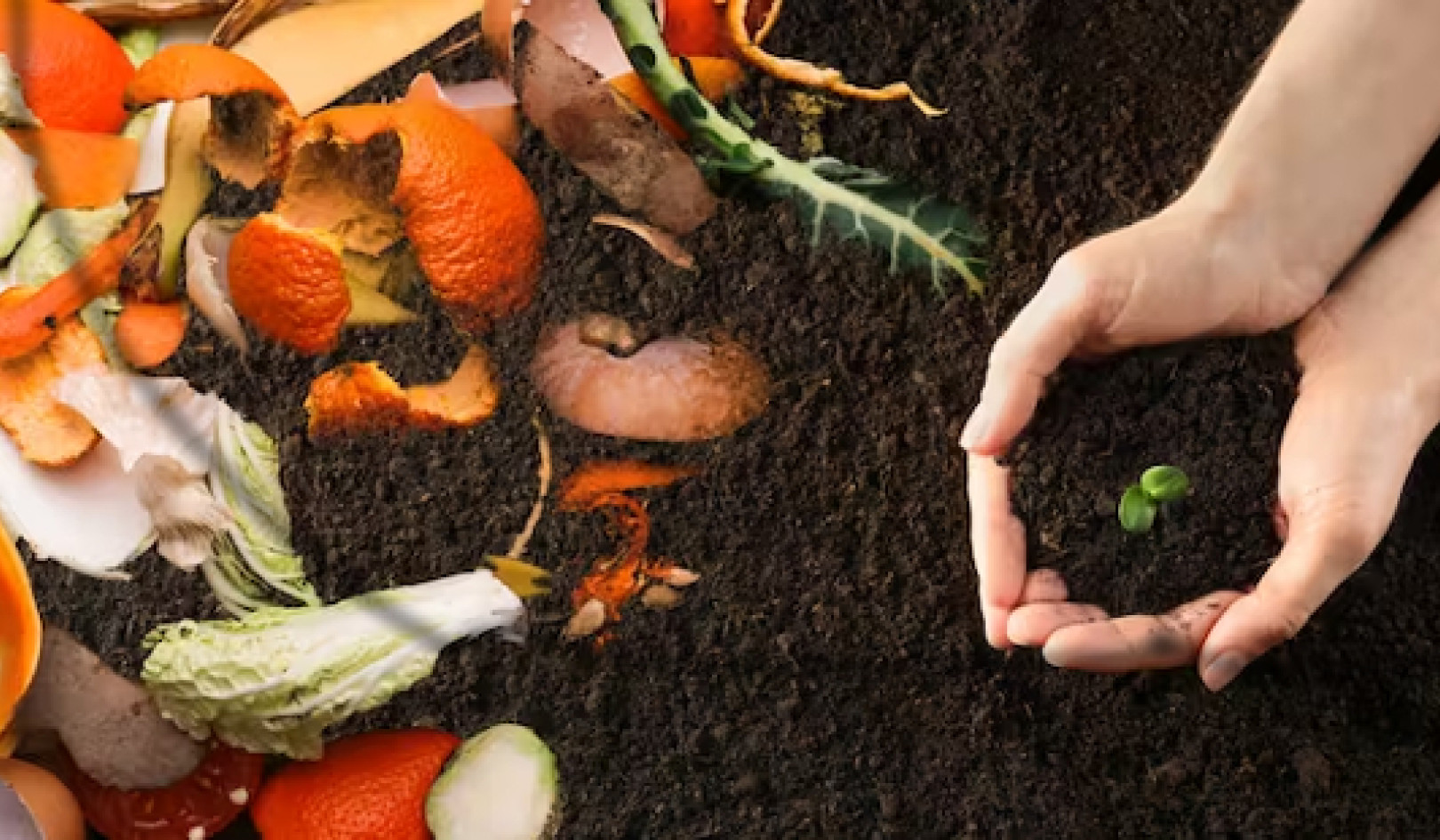 變廢為寶：為什麼將食物垃圾堆肥優於填埋