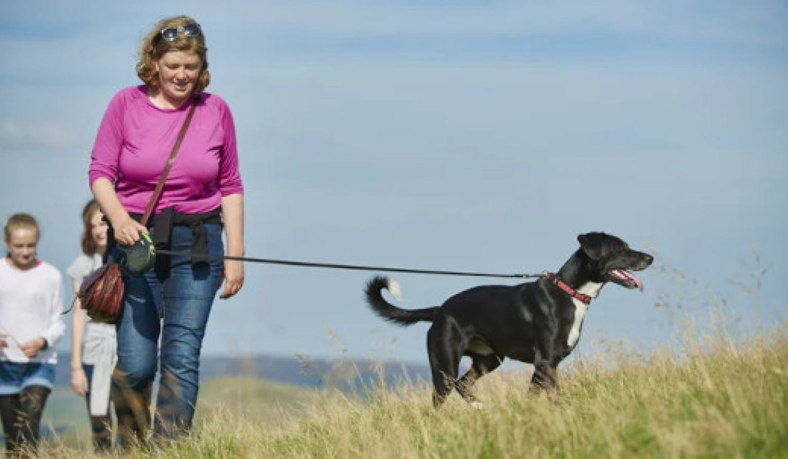 How to Avoid Injury When Walking Your Furry Friend