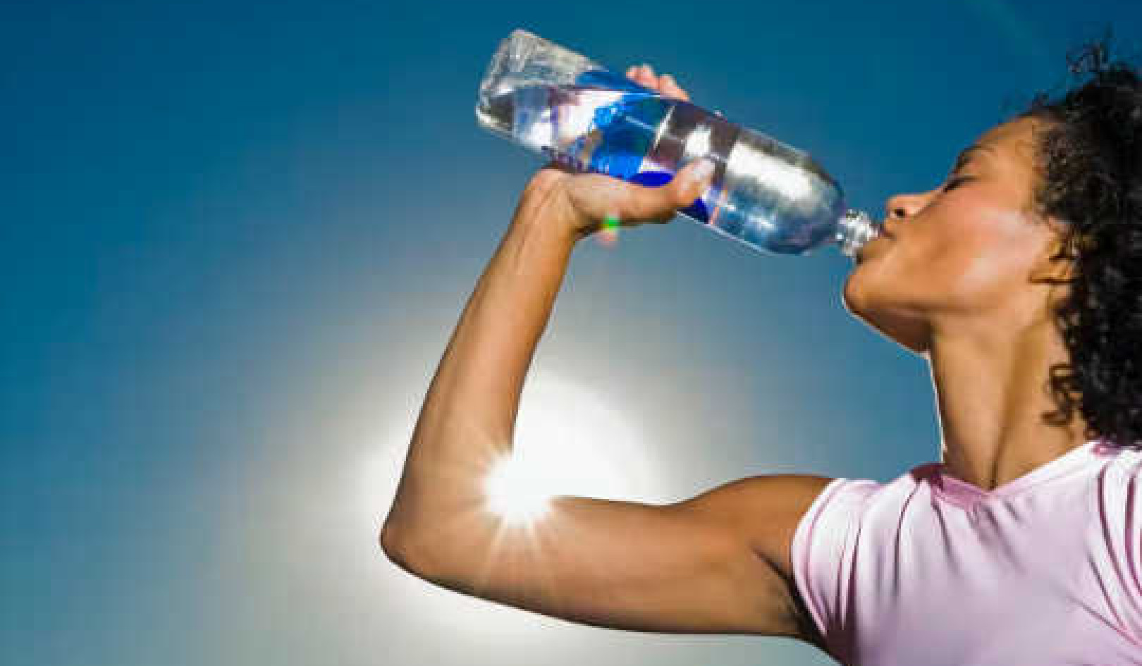 אילו עשרות שנים של מחקר מתעדים את ההשפעות הבריאותיות של BPA