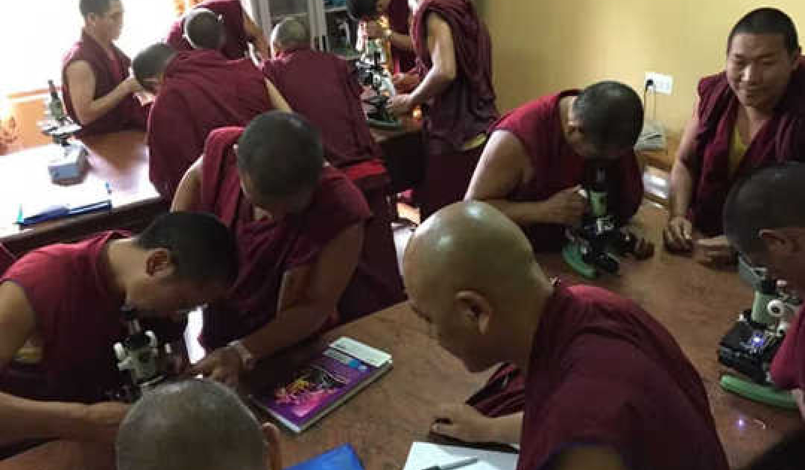 Mitä opin opettaessani biologiaa Tiibetin buddhalamunkeille