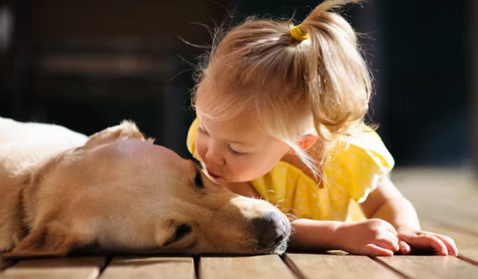 L’énigme du baiser : est-il sécuritaire de montrer de l’affection à vos animaux de compagnie ?