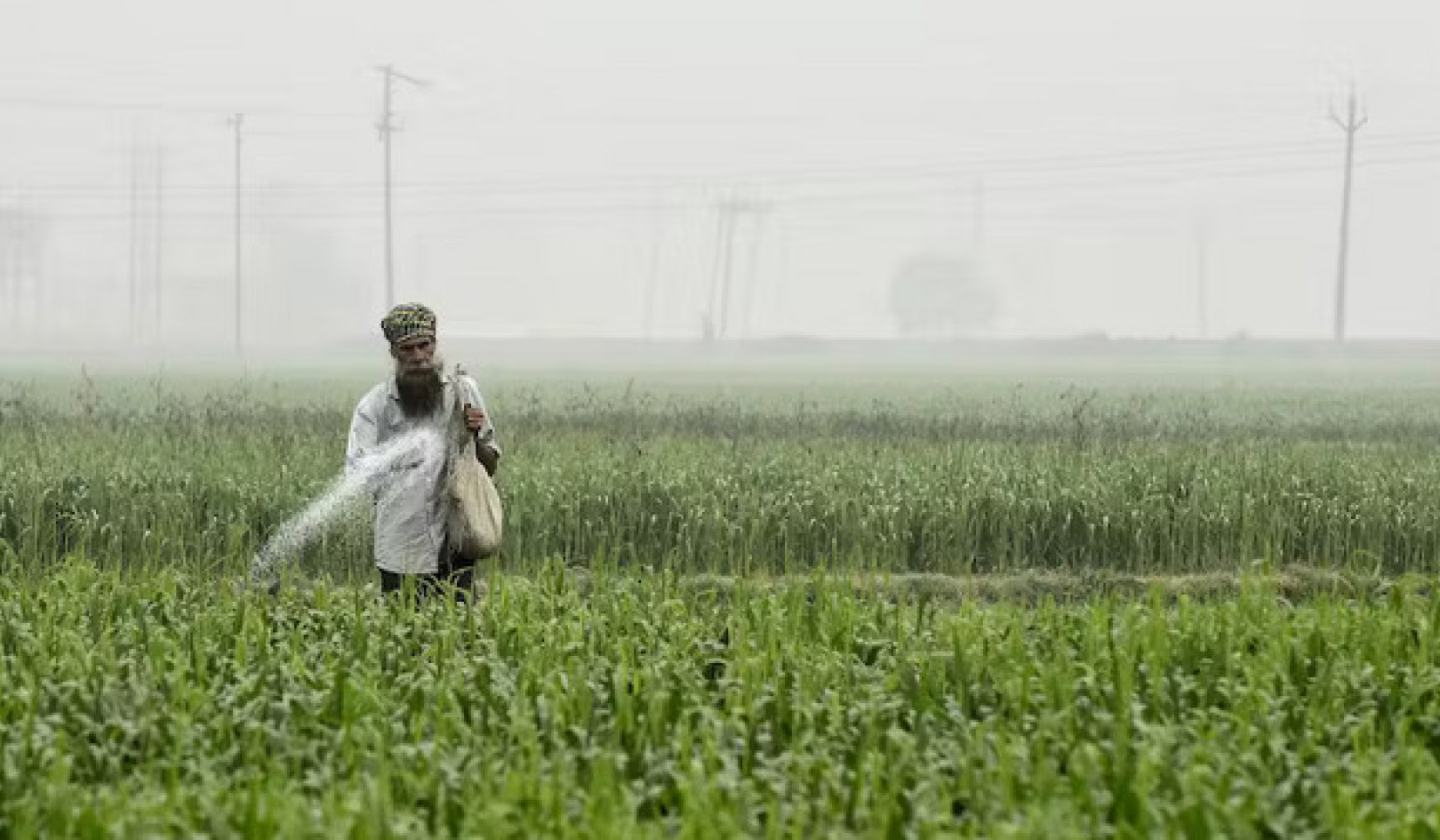 Why A Green Revolution Isn't the Answer to Global Hunger