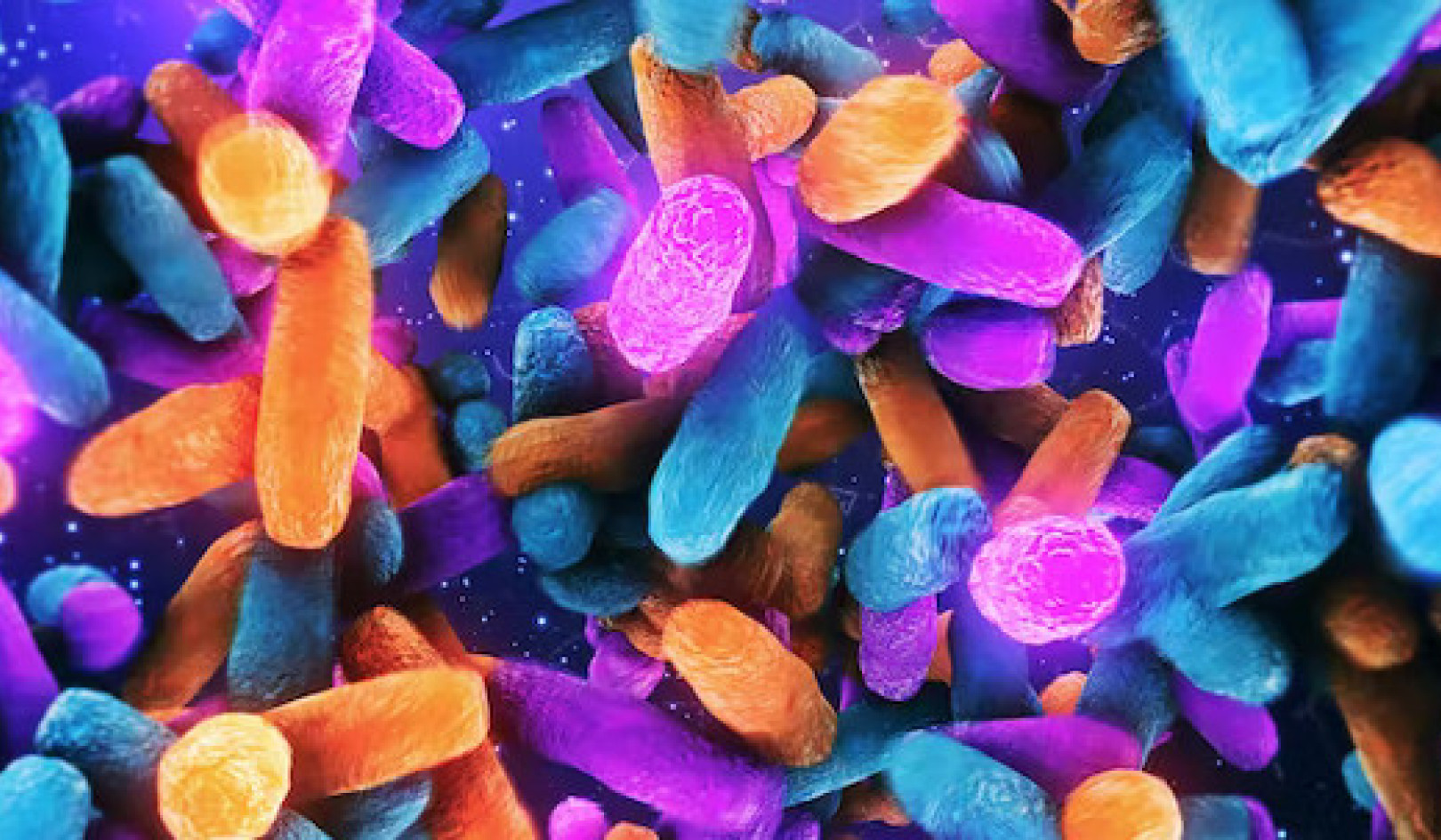 Come i geni, i tuoi microbi intestinali passano da una generazione all'altra