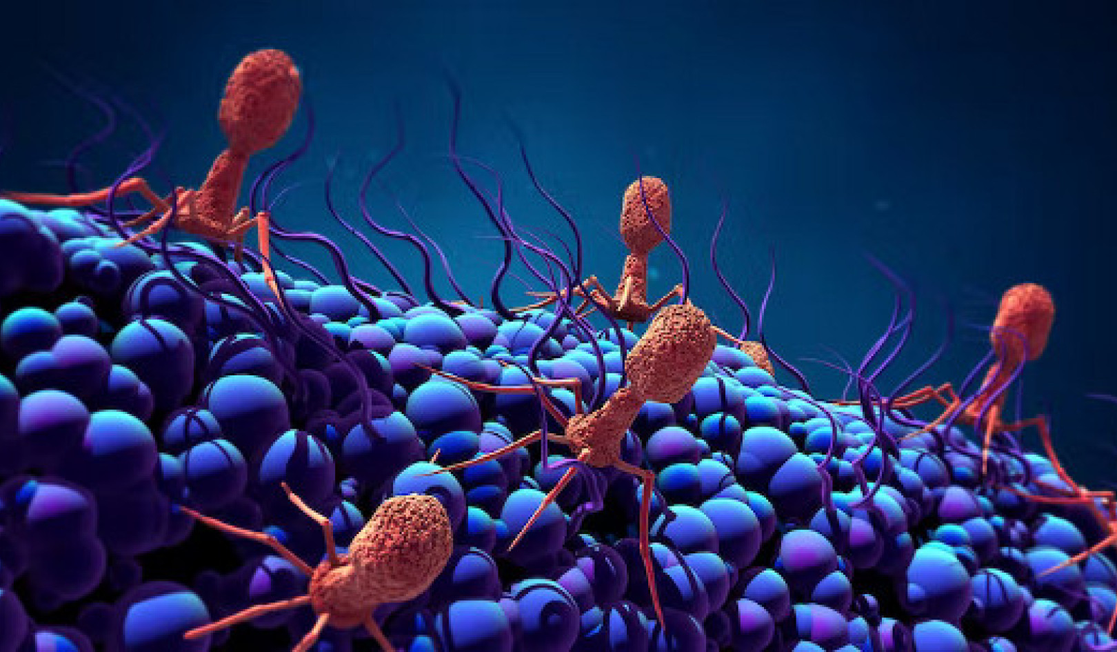 Egyes vírusok és mikrobák várnak rád
