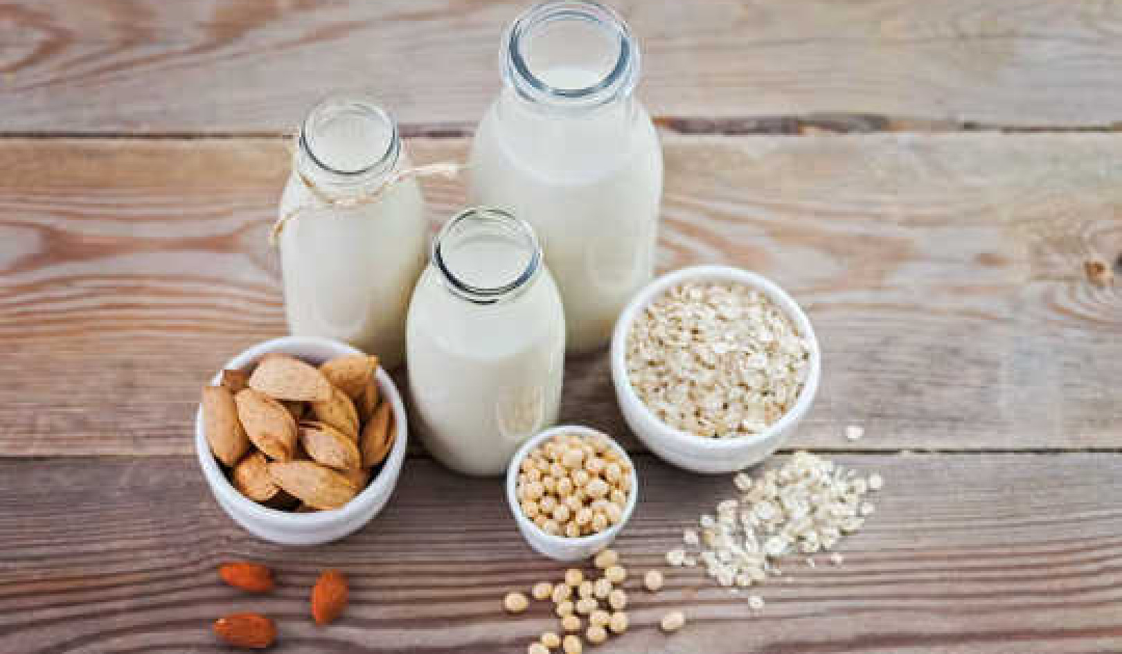 O que você precisa saber sobre produtos lácteos à base de plantas