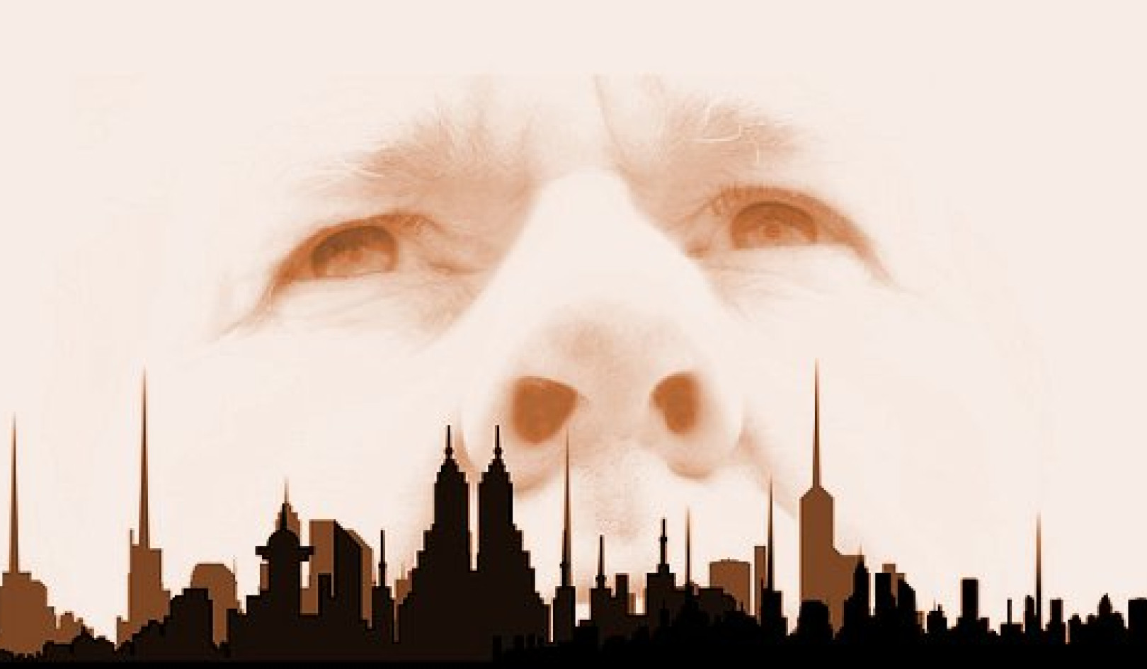 نقش پذیرش در تحول شخصی