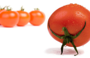 Impact of Diet on Mood and Eating Habits