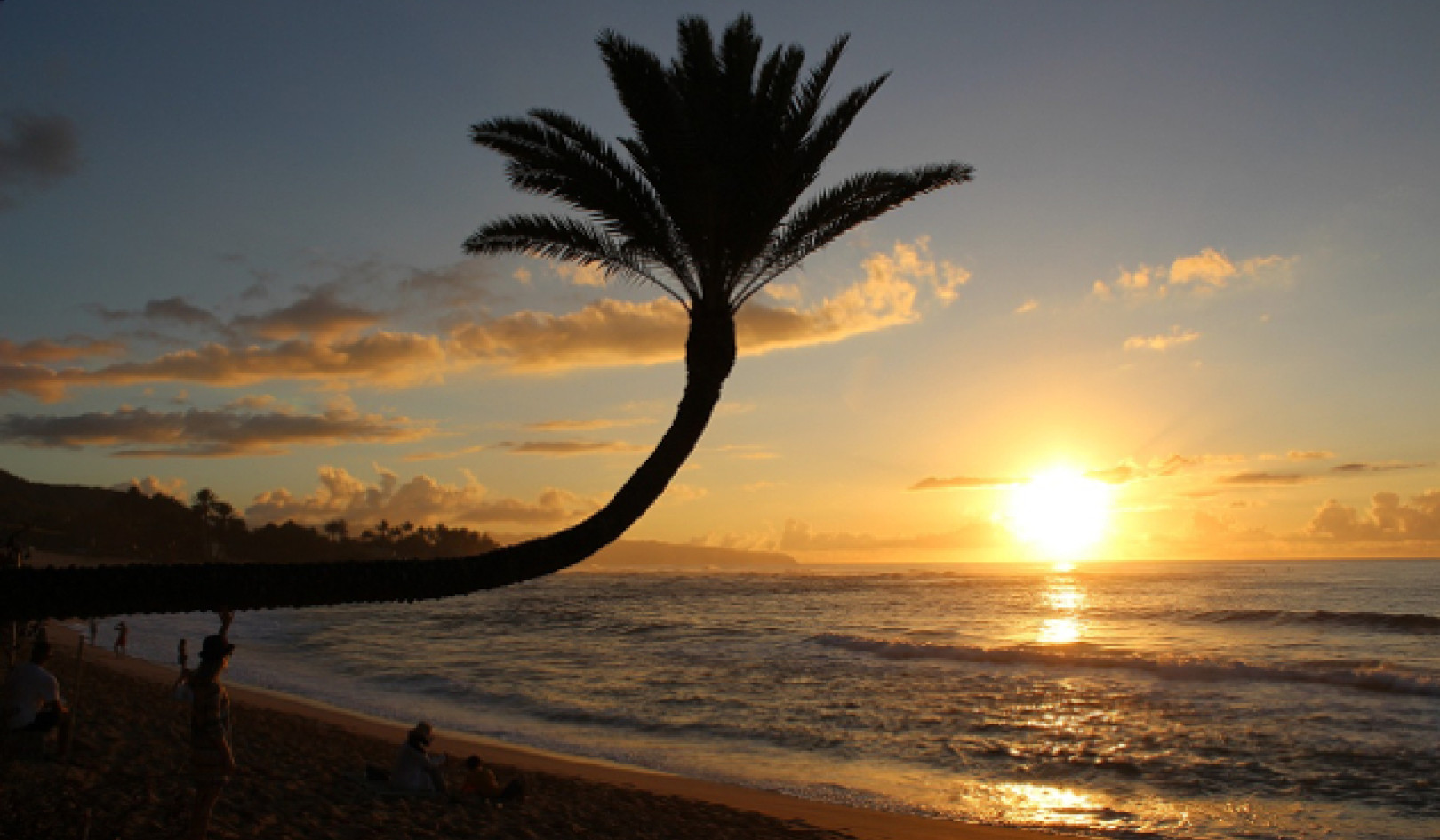 Bu İklim Krizi: Maui'nin Yakıcı Gerçeği