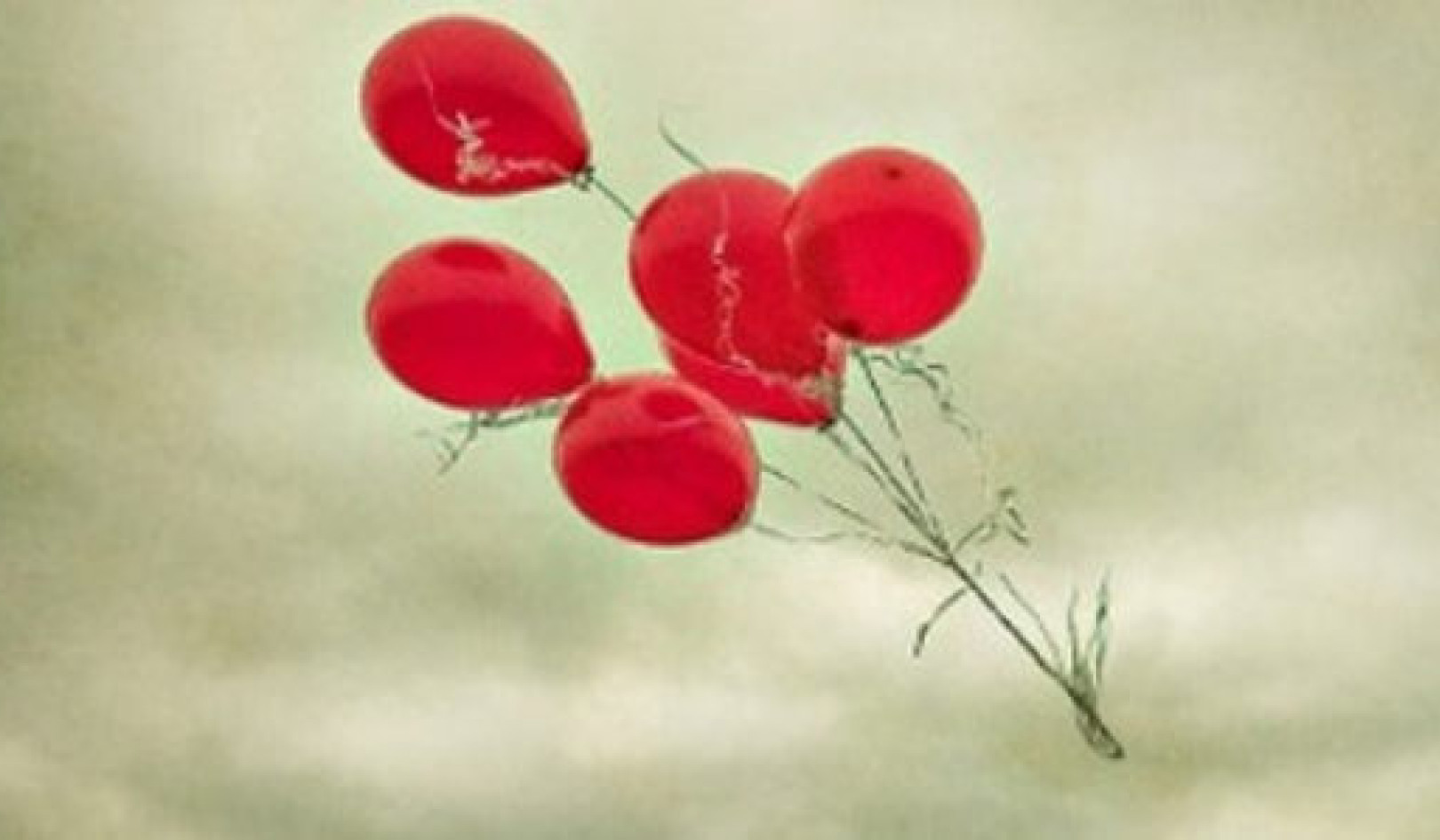 Lessons on Letting Go: The Wisdom of Nature's Cycles